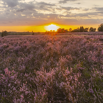 KINO: Heimat Natur Gallery 10