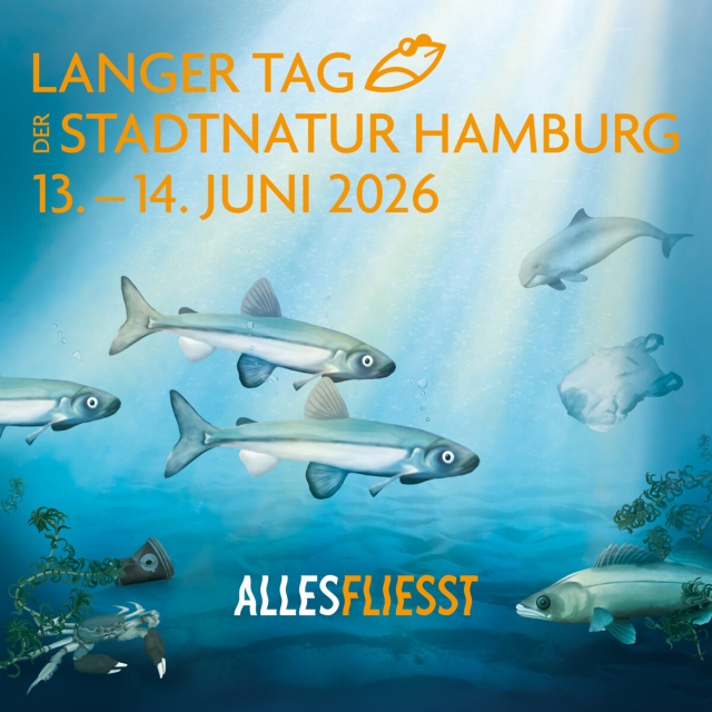 Langer Tag der StadtNatur 2026 - Grafik: Annica Lill