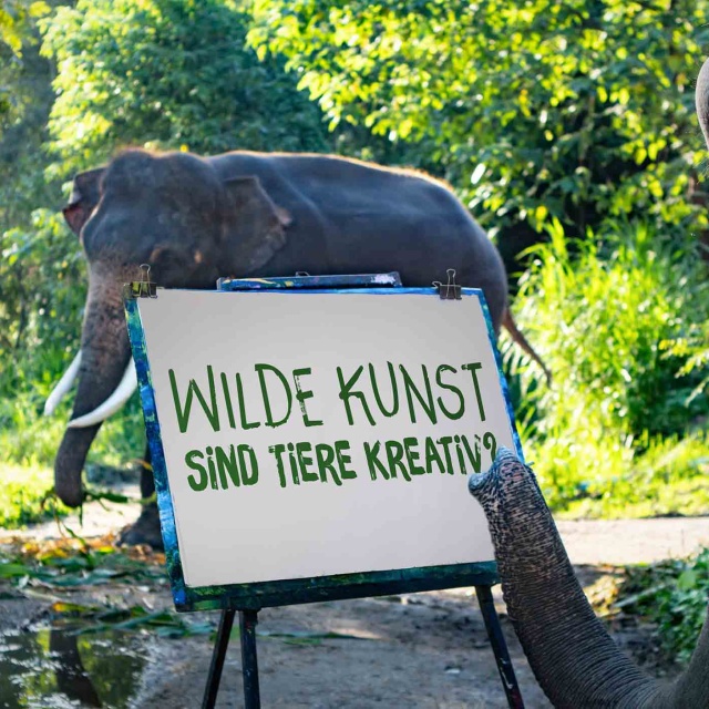 Wilde Kunst Autoren: Volker Arzt und Robert Sigl