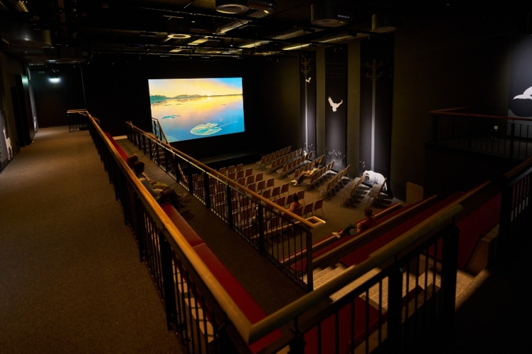 Bild für Naturfilmkino